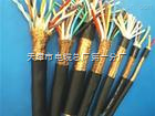 DJVVP3計算機控制電纜全國送貨，天津市電纜總廠第一分廠專業之選