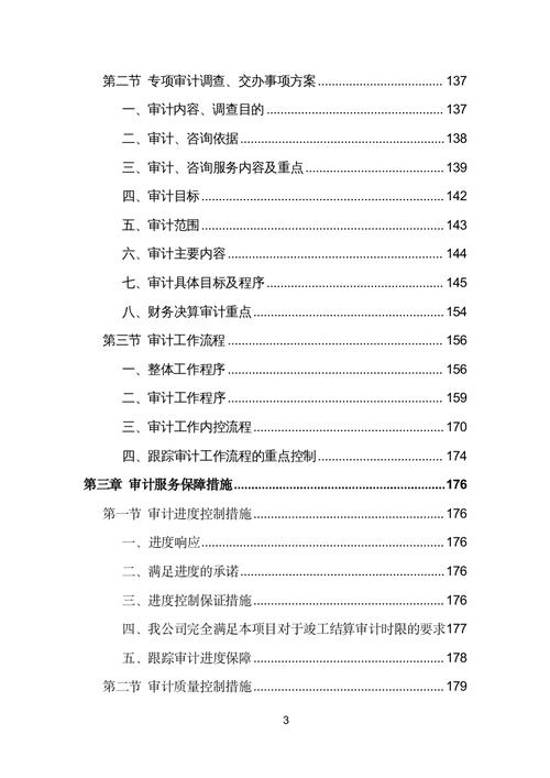 政府投資項(xiàng)目審計(jì)服務(wù)投標(biāo)方案（工程審計(jì)咨詢(xún)服務(wù)）